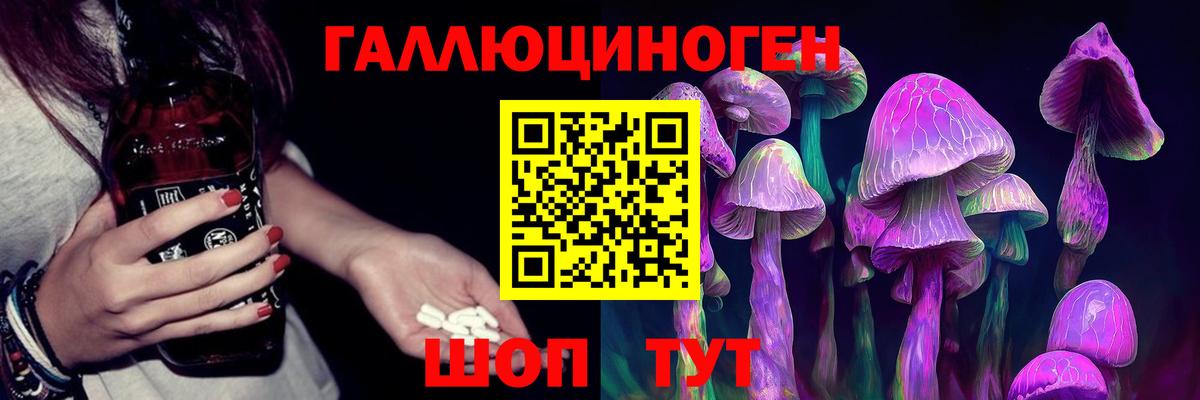 Псилоцибиновые грибы Psilocybe Узловая